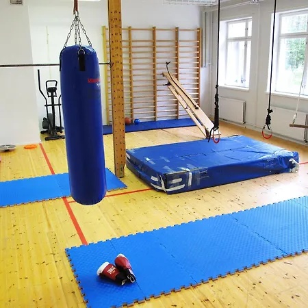 Old School 350m2, 29 Pers, 9br, 2xsauna, 2xhottub, Gym *